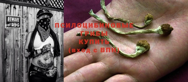 jwh Пересвет