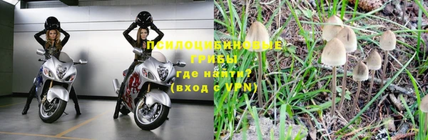 прущая мука Алексеевка